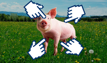 Click on the pigs!