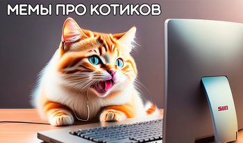 Мемы про котиков