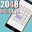 2048 Endless