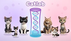 Catlab