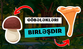 Göbələkləri birləşdir