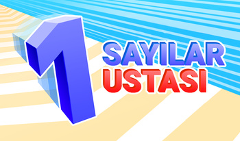 Sayılar Ustası