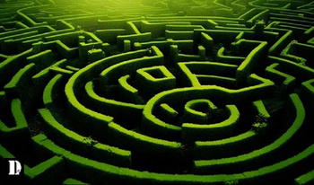 Survive in the maze