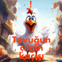 Tavuğun çılgın kaçışı