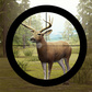 Խաղ Contract Deer Hunter