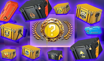 CS2 Case Simulator