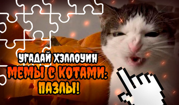 Угадай Хэллоуин мемы с котами: Пазлы!