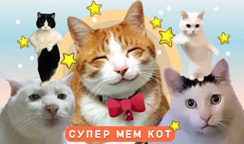 Супер Мем Кот