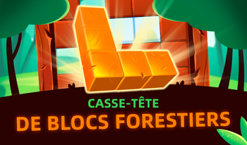 Casse-Tête De Blocs Forestiers