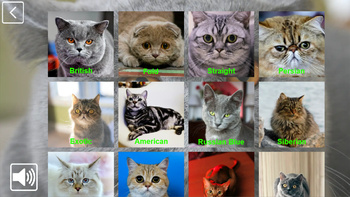 CatCollection: 48 Breeds: Play Online For Free On AllWebGames